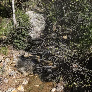 Canyon above Campbell Bridge after the January 20 rainstorm