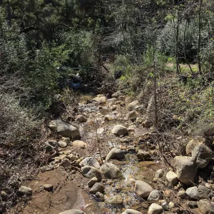 Canyon below Campbell Bridge after the January 20 rainstorm