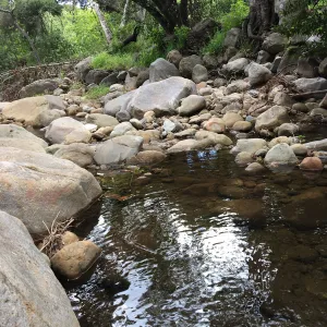 Mission Creek at lower creek crossing