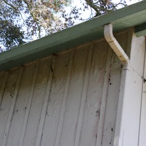 Blistered paint on west side of Cottage after Jesusita Fire