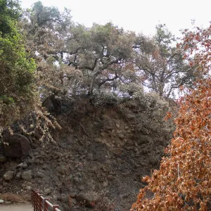 Canyon wall above Mission Dam after Jesusita Fire