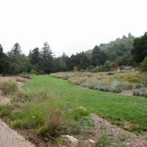 Meadow fom Blaksley Boulder area