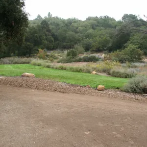 Meadow looking northeast from Meadow Terrace