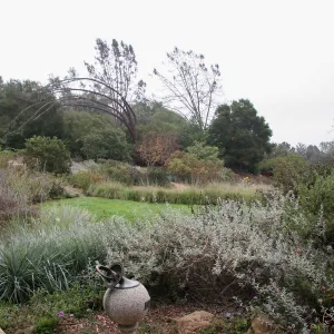 Meadow looking southeast from sundial