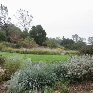 Meadow looking southeast from sundial