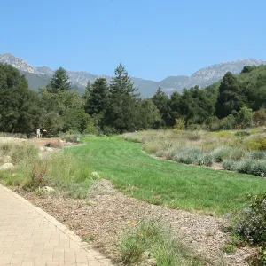 Meadow from Blaksley Boulder area