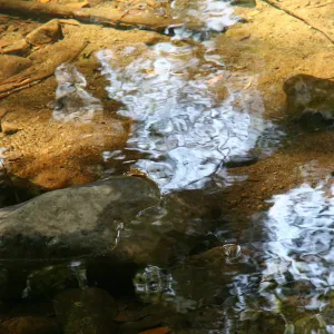 Water in Mission Creek
