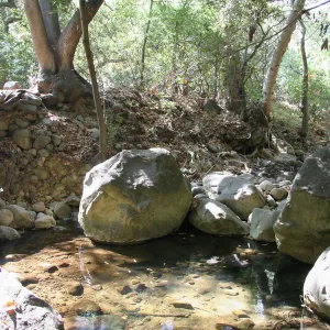 Mission Creek