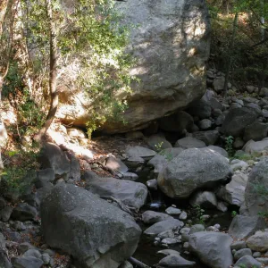 Lassiter Boulder