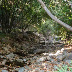 Mission Creek above Redwood Section