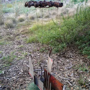 Art from the Ashes
