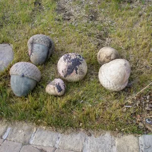 Art from the Ashes