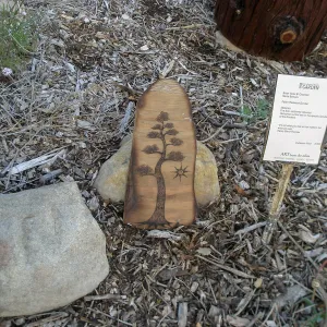 Art from the Ashes