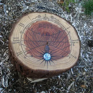 â€˜Fallen Redwood Sundial' by Brian Solar B Chandler, Art from the Ashes