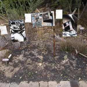 Works by Nancy Goldwin, Art from the Ashes