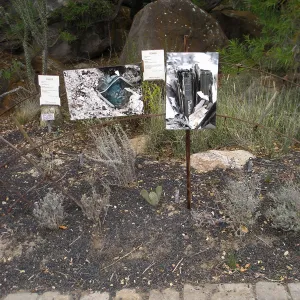 Works by Nancy Goldwin, Art from the Ashes