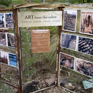 Art from the Ashes