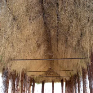 Interior of Herb Parker's Labyrinth