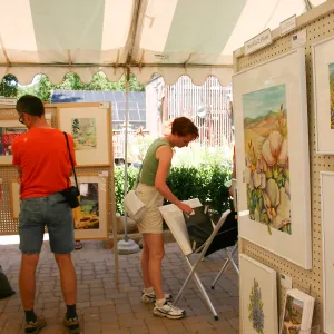 Goleta Valley Art Association Exhibit