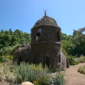 Toad Hall