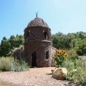Toad Hall