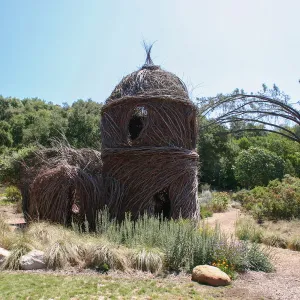 Toad Hall