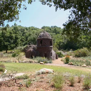 Toad Hall