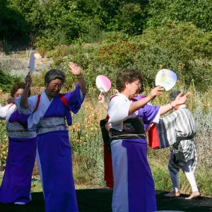 Japanese-style Summer Solstice Celebration to benefit ShinKanAn Teahouse