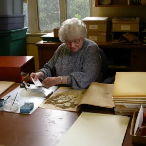 Jean Hobson at work in the herbarium