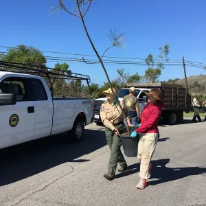 Earth Day Planting Project, Refugio State Beach