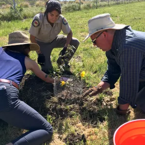 Earth Day Planting Project, Refugio State Beach