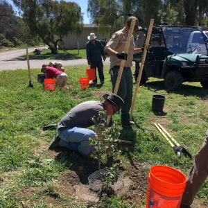 Earth Day Planting Project, Refugio State Beach