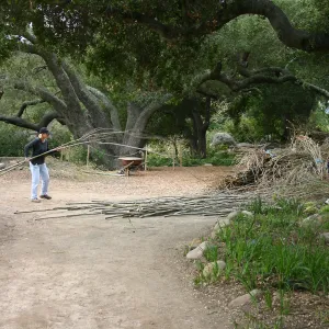 Toad Hall Construction, volunteers and saplings