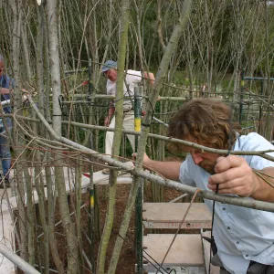 Toad Hall construction