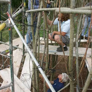 Toad Hall construction