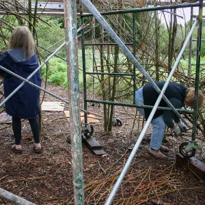 Toad Hall Construction