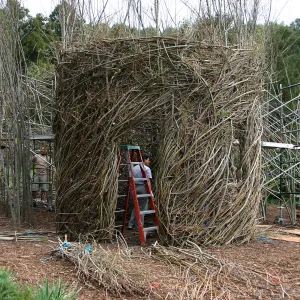 Toad Hall Construction
