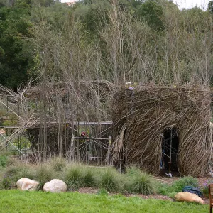 Toad Hall Construction