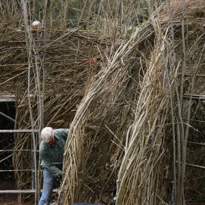 Toad Hall Construction
