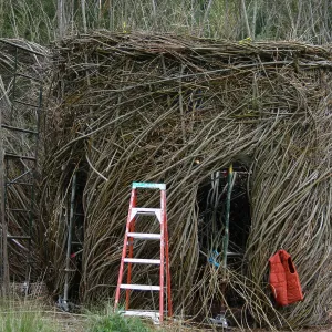 Toad Hall Construction