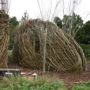 Toad Hall Construction