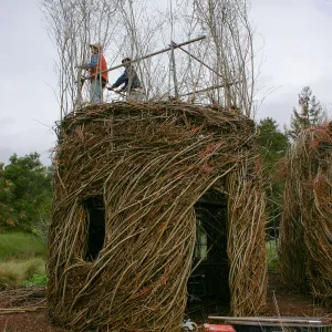 Toad Hall Construction