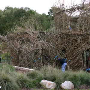 Toad Hall Construction