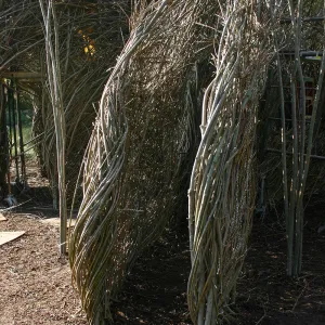 Toad Hall Construction