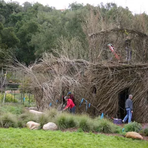 Toad Hall Construction