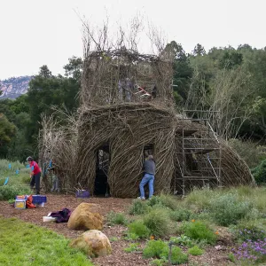 Toad Hall Construction
