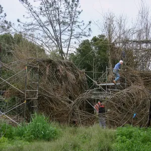 Toad Hall Construction