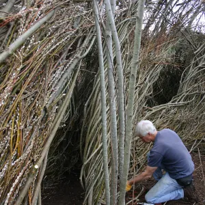 Toad Hall Construction