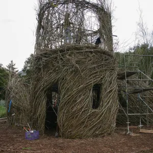 Toad Hall Construction