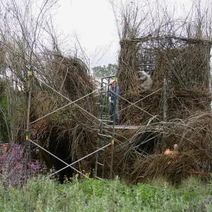 Toad Hall Construction